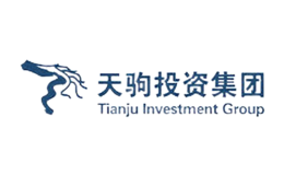 陕西天驹投资集团有限公司