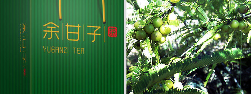 余甘子茶包装盒