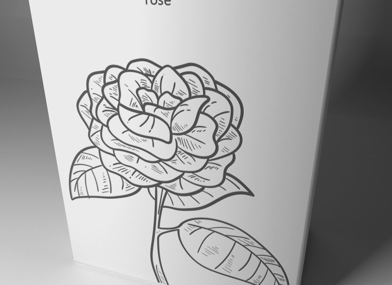 玫瑰酒品牌包装设计