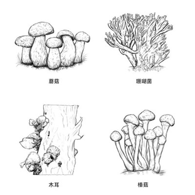 包装盒的定制