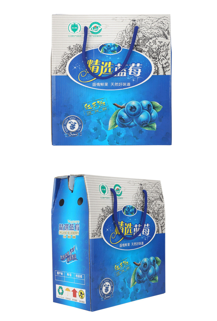 蓝莓包装礼盒设计定制