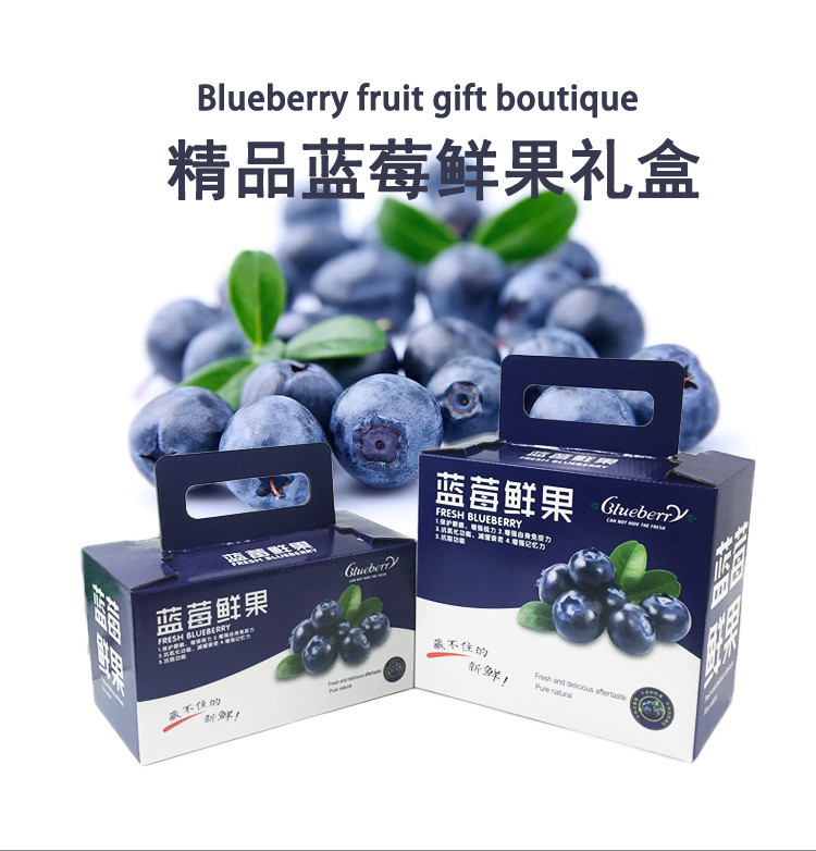 蓝莓鲜果礼盒设计定制