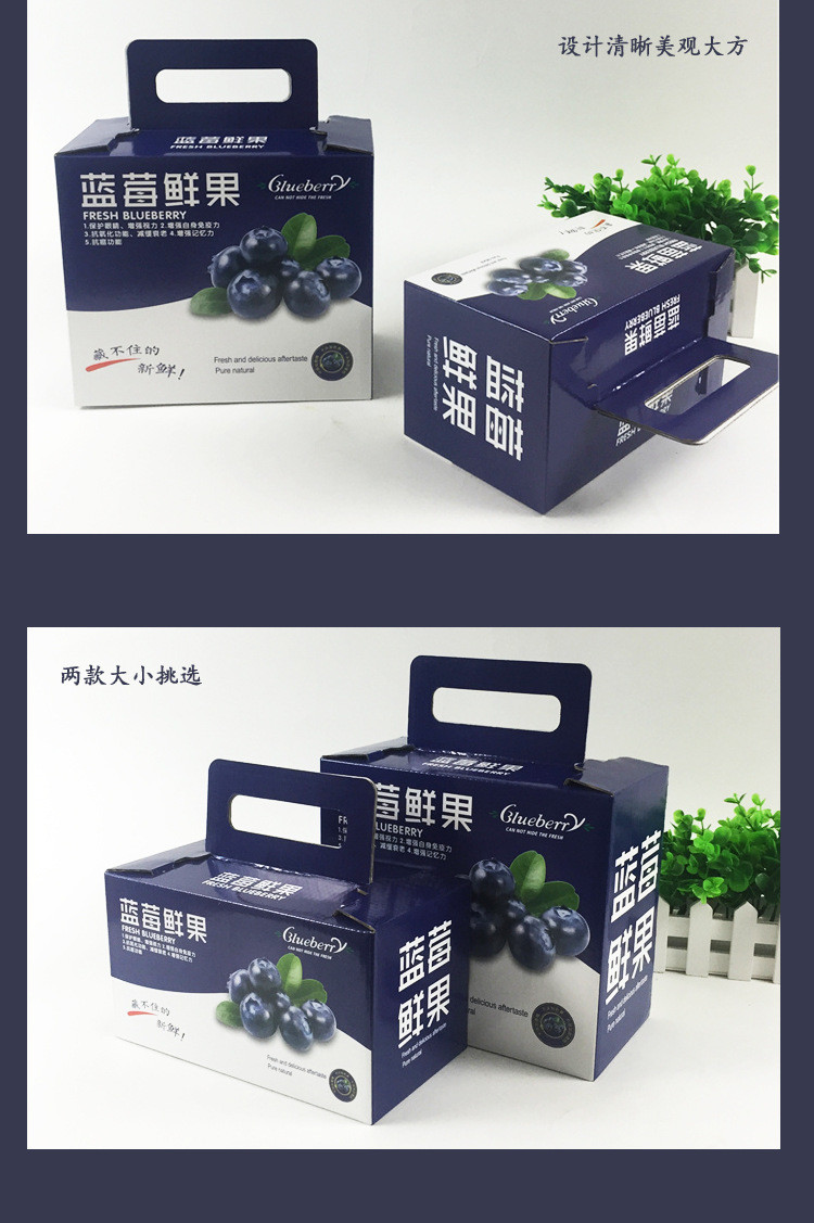 蓝莓鲜果礼盒设计定制