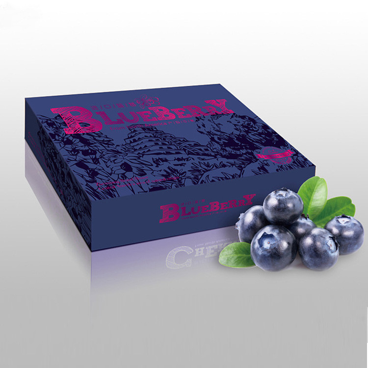 手绘风格蓝莓包装礼盒