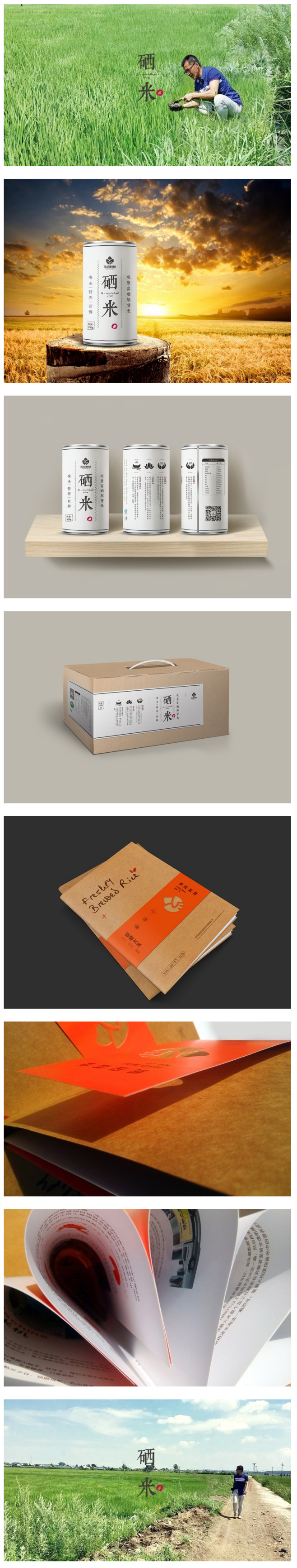 大米罐装礼盒包装设计